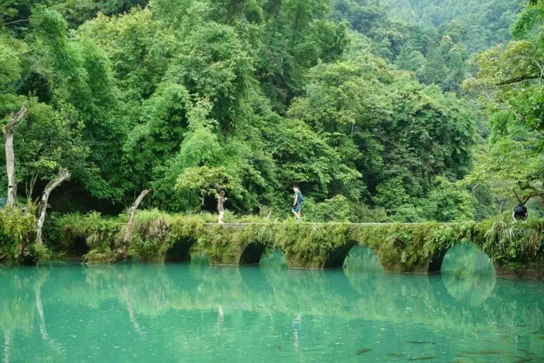夏季纽扣裙